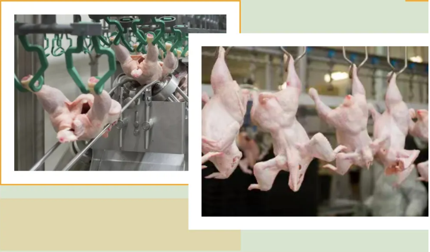 [Import and Export Food Safety] Inspection and Quarantine Requirements ...